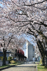 秋田公立美術大学