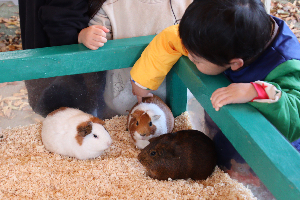 秋田市大森山動物園～あきぎんオモリンの森～