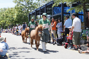 秋田市大森山動物園～あきぎんオモリンの森～