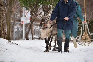 秋田市大森山動物園～あきぎんオモリンの森～
