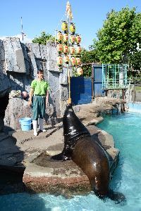 秋田市大森山動物園～あきぎんオモリンの森～