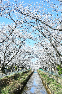 草生津川