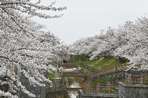 大川端帯状近隣公園