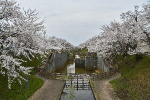大川端帯状近隣公園