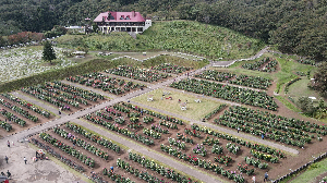 秋田国際ダリア園