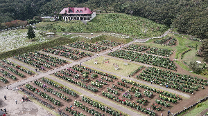 秋田国際ダリア園