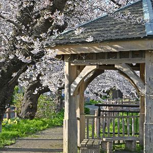 大川端帯状近隣公園
