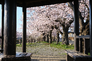 大川端帯状近隣公園