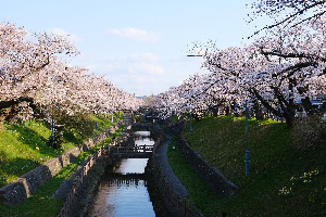 大川端帯状近隣公園