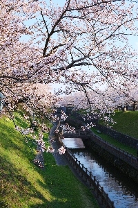 大川端帯状近隣公園