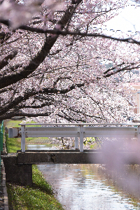 草生津川