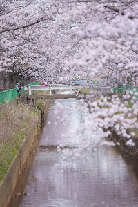草生津川
