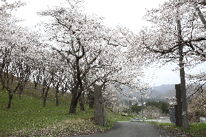 辺岨公園
