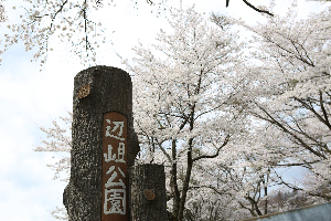 辺岨公園