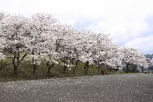 辺岨公園