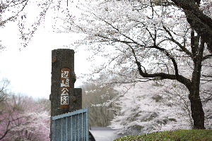 辺岨公園