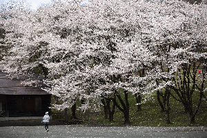 辺岨公園