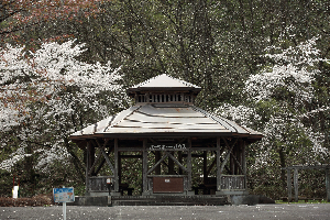 辺岨公園
