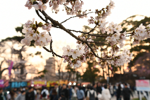 千秋公園