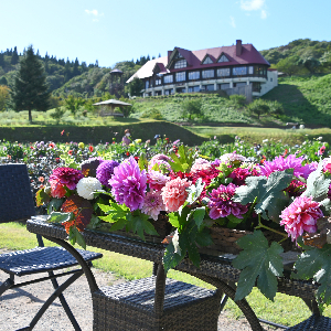 秋田国際ダリア園