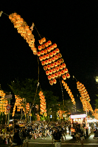 二本のしなった竿燈の画像