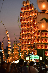 沿道に竿燈が並び立っている画像