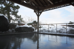 秋田温泉さとみ