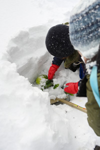 農家民宿 重松の家