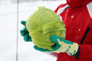 農家民宿 重松の家