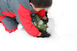 農家民宿 重松の家