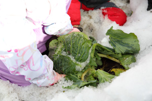 農家民宿 重松の家
