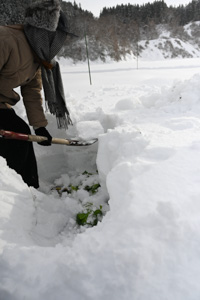 農家民宿 重松の家