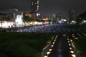 大手門の堀　遊歩道
