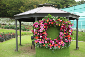 秋田国際ダリア園