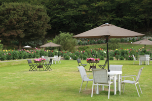 秋田国際ダリア園