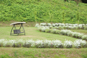 秋田国際ダリア園