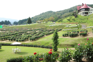 秋田国際ダリア園