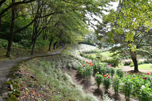 秋田国際ダリア園