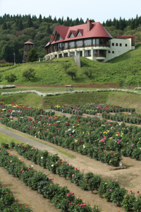 秋田国際ダリア園
