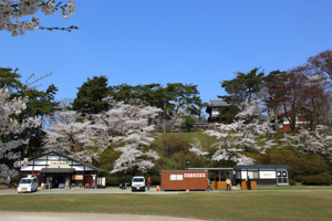千秋公園