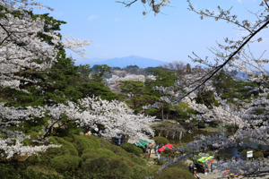 千秋公園