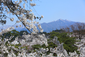 千秋公園