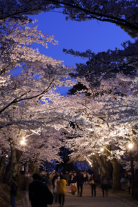 千秋公園