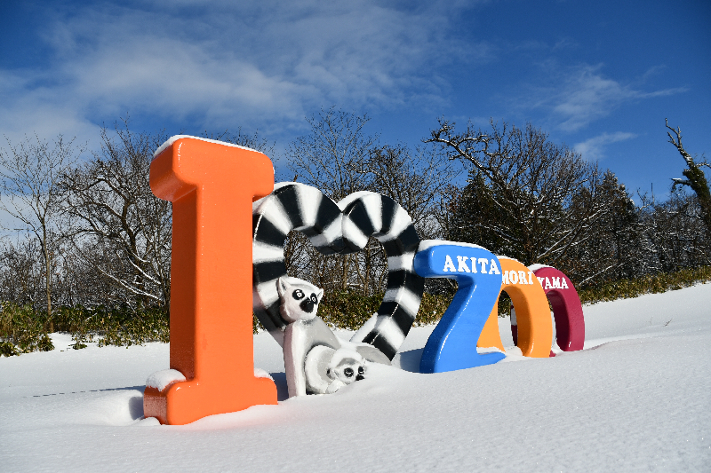 秋田市大森山動物園～あきぎんオモリンの森～