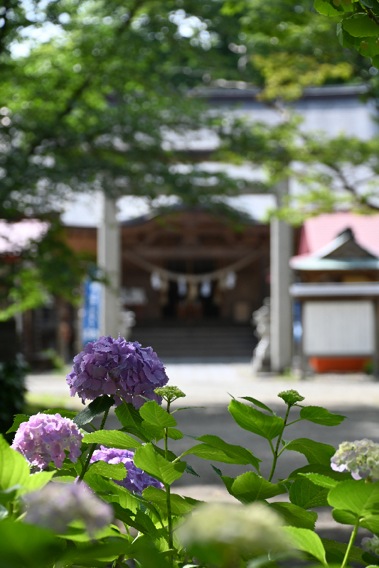 千秋公園