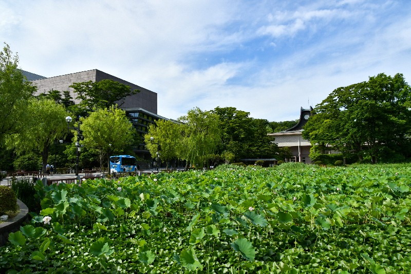 千秋公園のお堀