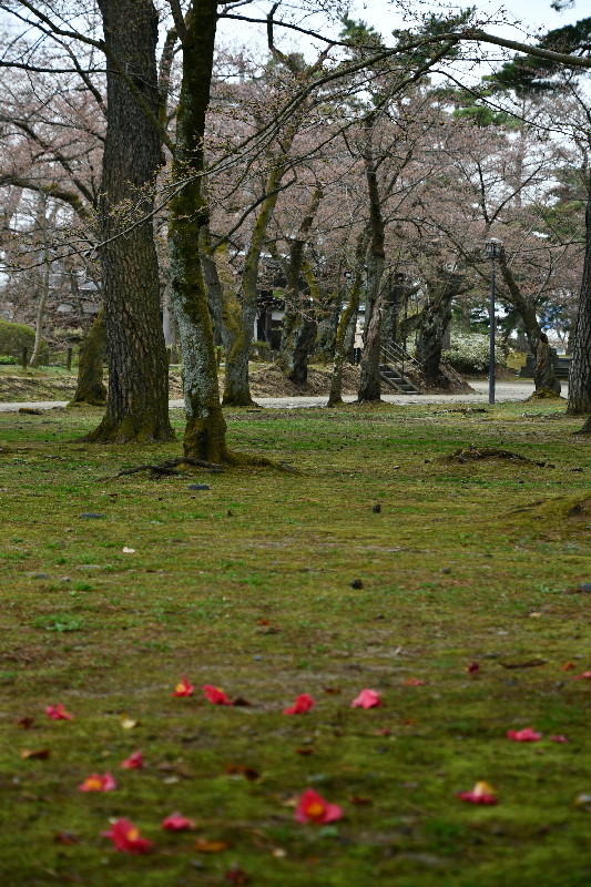 千秋公園