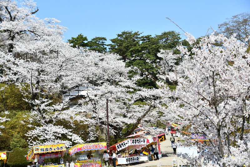 千秋公園