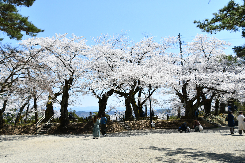 千秋公園