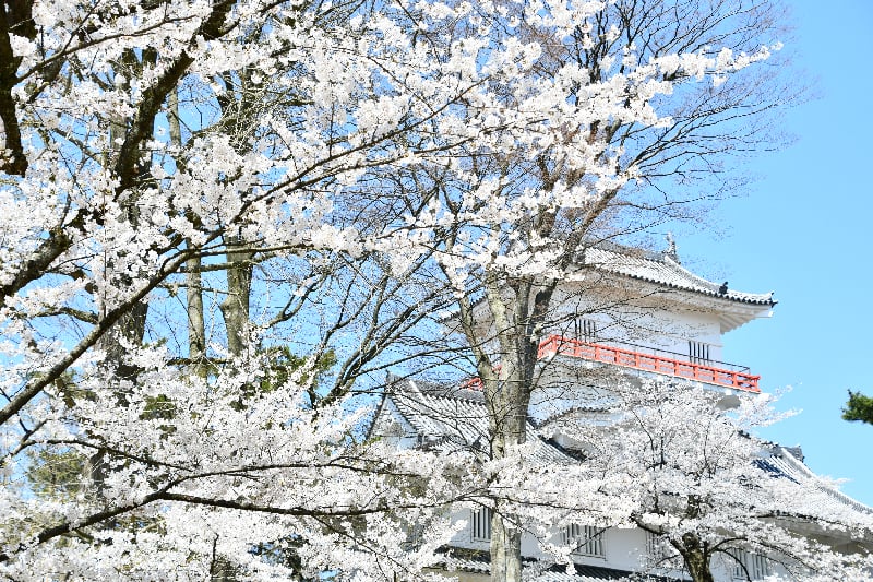 千秋公園